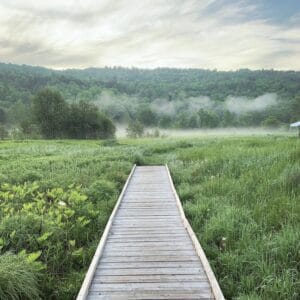 fr-01 field recordings sample library by go outside