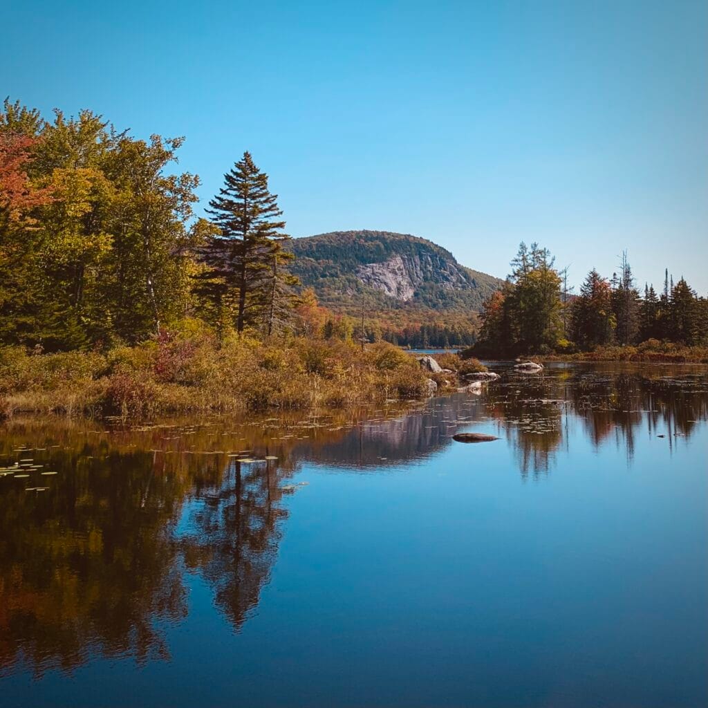 go outside ambient music