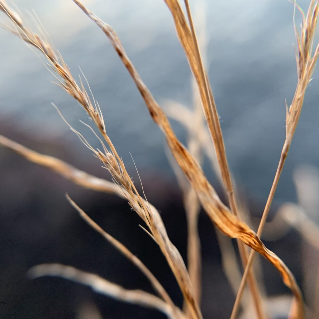 go outside ambient music photography